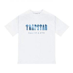 Trapstar Decoded Tee T-shirts Herren Weiß Schweiz | HS65-941