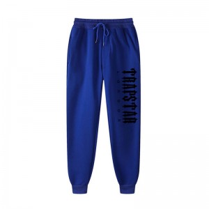 Trapstar London Cargo Hose Herren Blau Schweiz | JA12-091