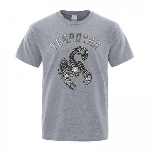 Trapstar Spider Printed Graphic Tee T-shirts Herren Grau Schweiz | IW74-231