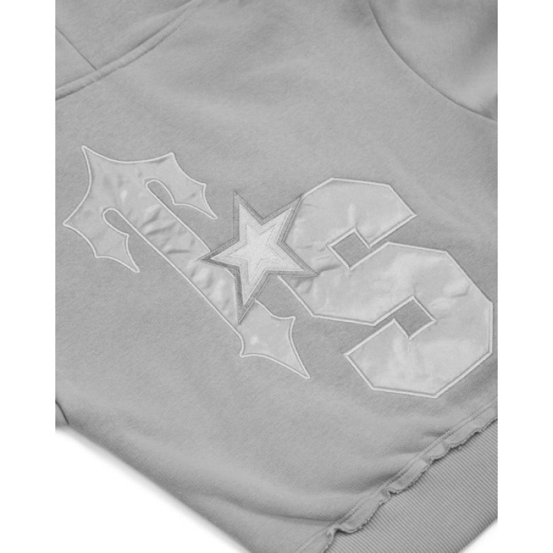 Trapstar TS-Star Silver Satin Applique Hoodie Hoodie Damen Grau Schweiz | AC26-357